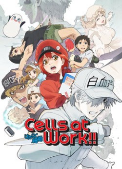 Khi Các Tế Bào Làm Việc (Phần 2) - Cells at Work! S2 (2021)